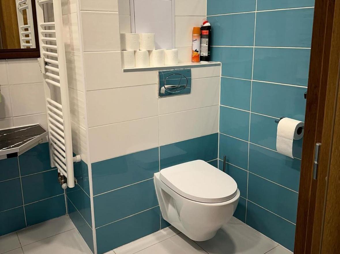 Apartmán se 3 ložnicemi - Karlovy Vary centrum Exteriér fotografie