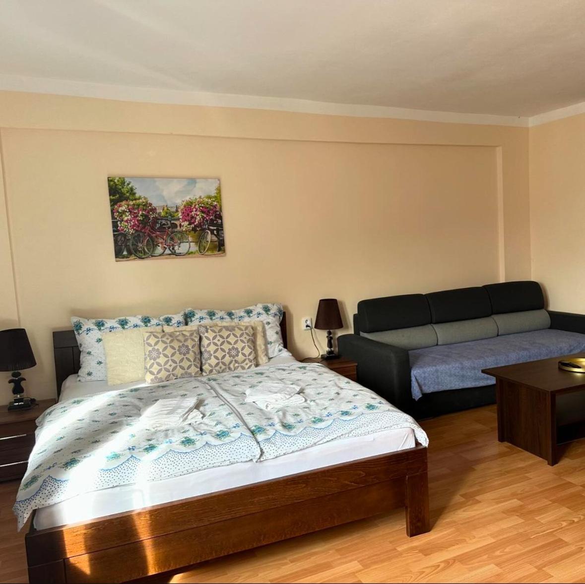 Apartmán se 3 ložnicemi - Karlovy Vary centrum Exteriér fotografie